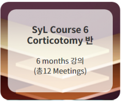 SyL Course 6 Corticotomy Course