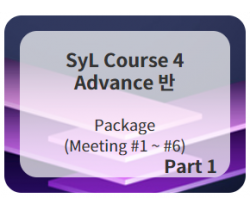 SyL Course 4 (Adv. 1)  Meeting #1-#6