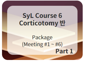 SyL Course 6 Corticotomy 반 1