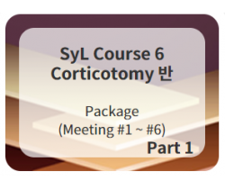 SyL Course 6 Corticotomy 반 1