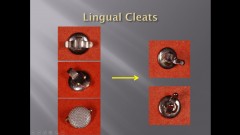 (실습 8) Lingual Cleats