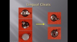 (실습 8) Lingual Cleats