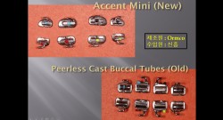 (실습 36) Accent Mini (Molar Tube)