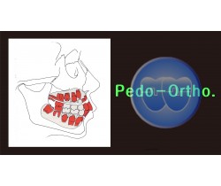 Pedo-Ortho. Course