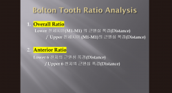 (강의 30) Sem #11 : Bolton Tooth Ratio Analysis